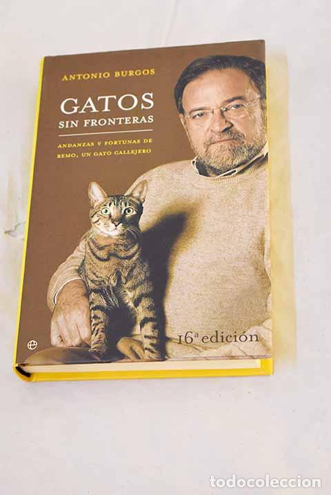 Livros em segunda m&atilde;o: Gatos sin fronteras : andanzas y fortunas de Remo, un gato callejero.- Burgos, Antonio