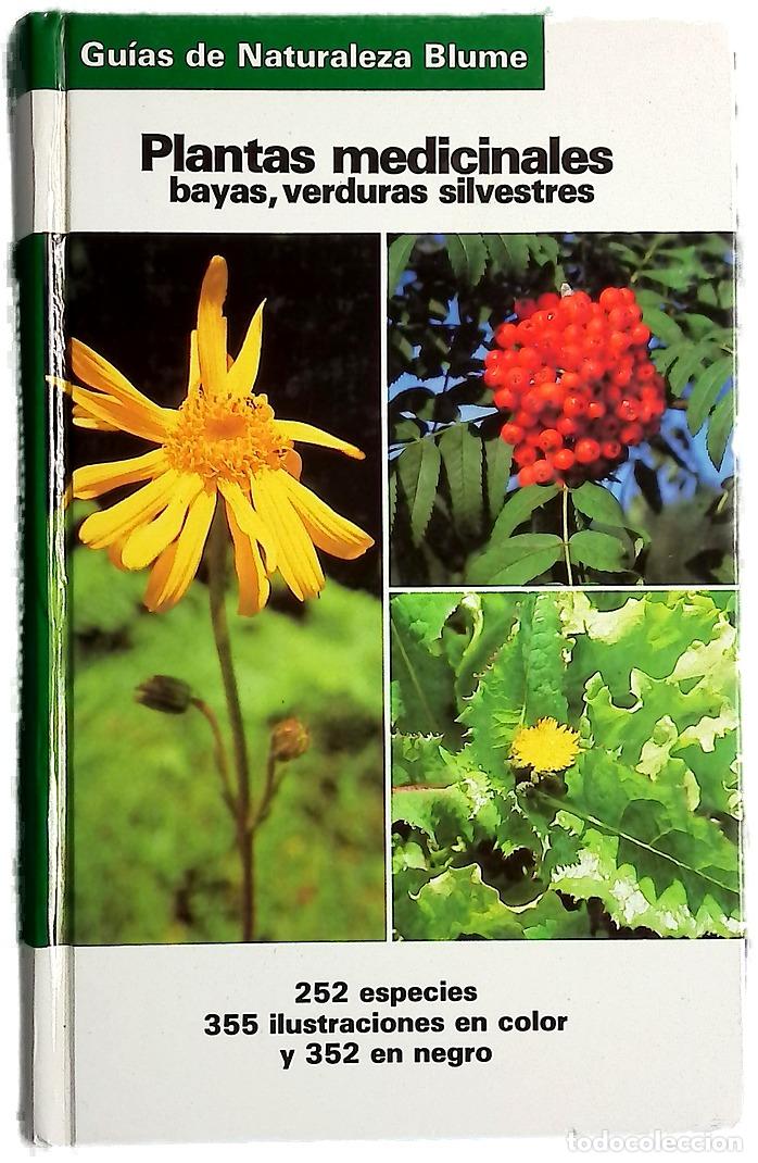 Libros: Plantas medicinales, bayas, verduras silvestres