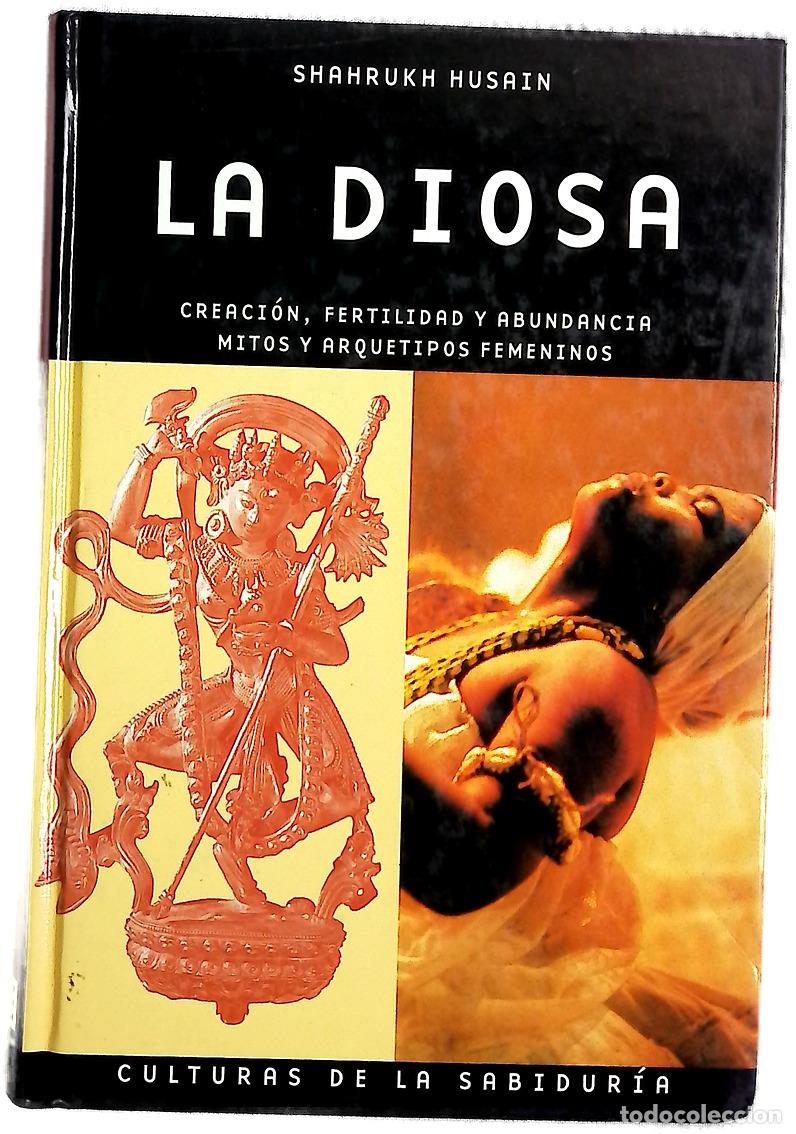 books: La Diosa - Shahrukh Husain.
