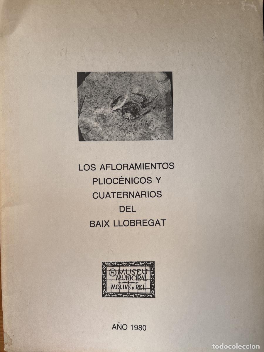 Livres: LOS AFLORAMIENTOS PLIOC&Eacute;NICOS Y CUATERNARIOS DEL BAIX LLOBREGAT - ANTONIO DOMINGUEZ XIMENEZ TDK749P