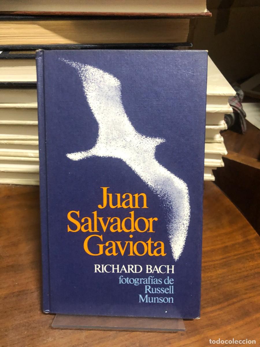 Libros: Juan Salvador Gaviota Richard Bach (Fotograf&iacute;as de Russell Munson)