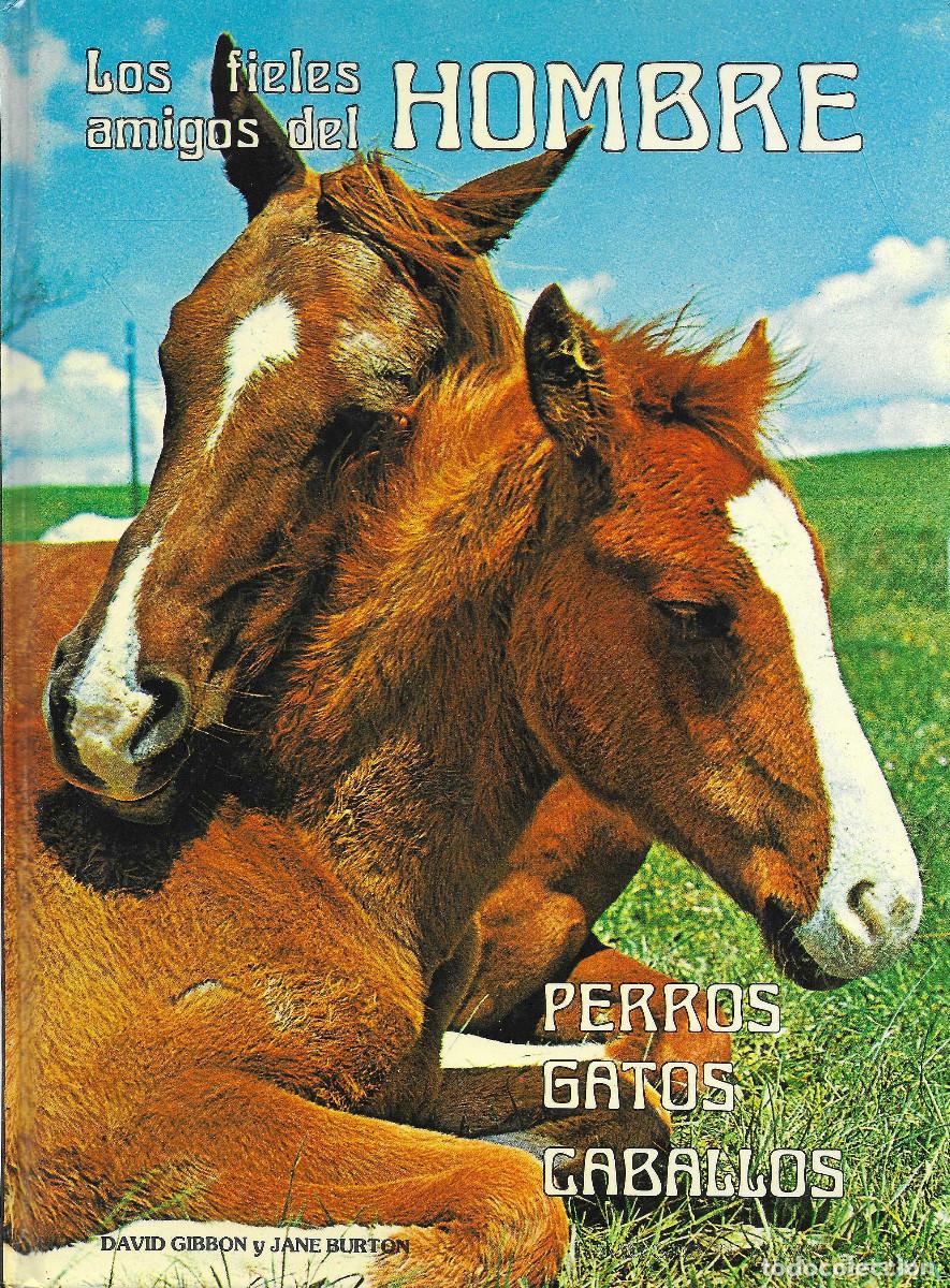 Libros: Los fieles amigos del Hombre. Perros, gatos, caballos