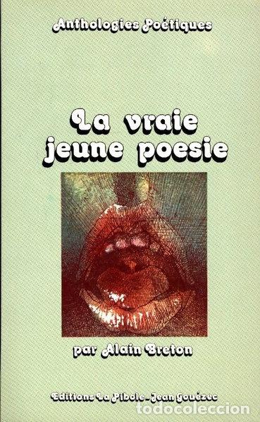 Libros: La vraie jeune po&eacute;sie- 9782864170112