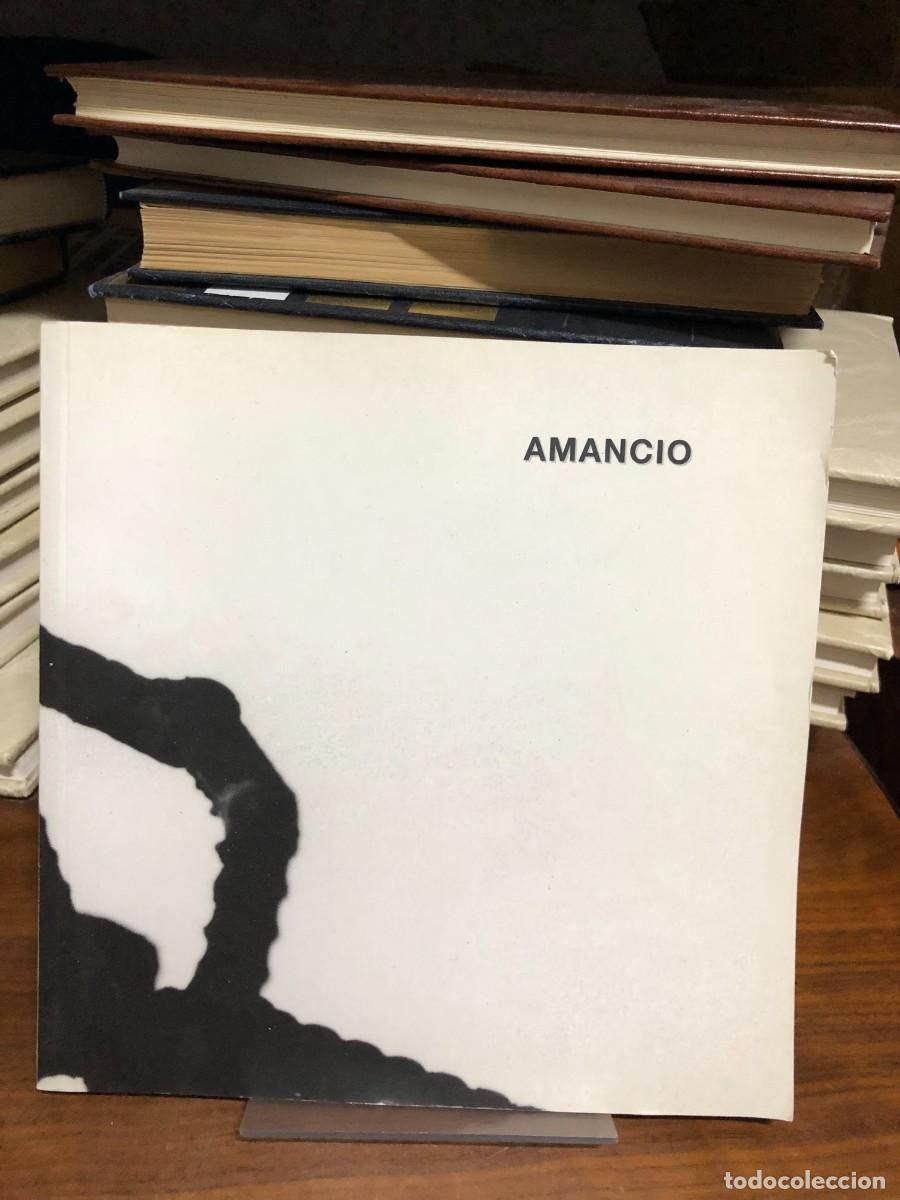 Libros: Amancio Gonz&aacute;lez: Esculturas Instituto Leon&eacute;s de Cultura / Diputaci&oacute;n de Le&oacute;n