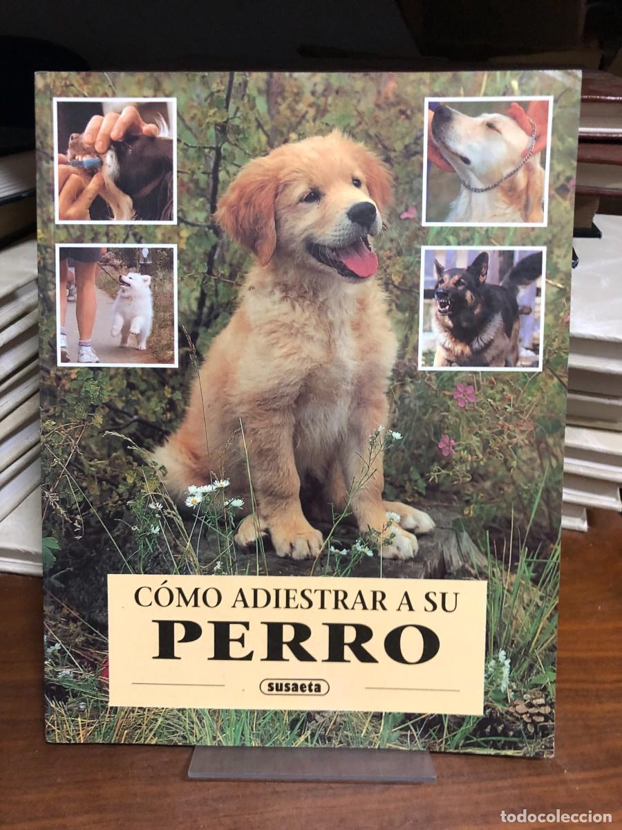 Libri di seconda mano: C&oacute;mo adiestrar a su perro Editorial Susaeta