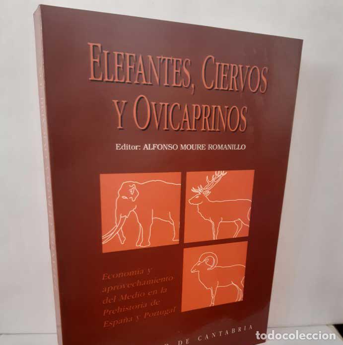 B&uuml;cher: ELEFANTES, CIERVOS Y OVICAPRINOS. ECONOM&Iacute;A Y APROVECHAMIENTO DEL MEDIO EN LA PREHISTORIA DE ESPA&Ntilde;A Y