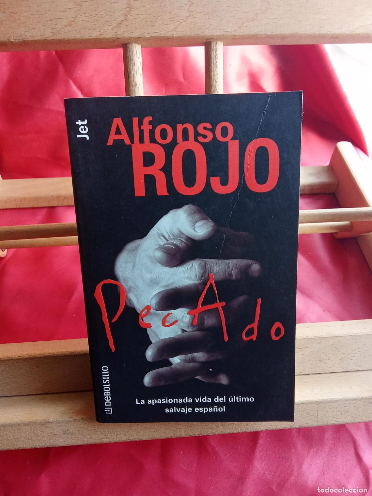 Libros: Pecado. Alfonso Rojo L.31642-1129