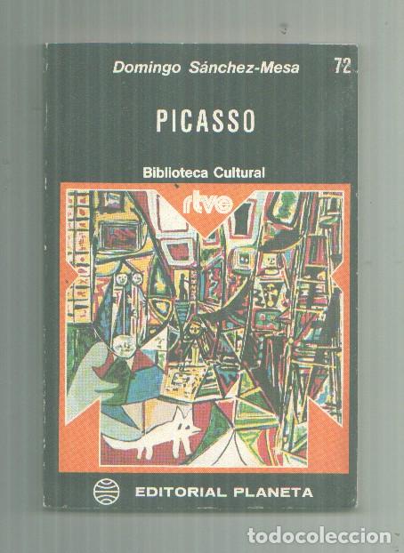 Libros: Picasso - Domingo S&aacute;nchez-Mesa