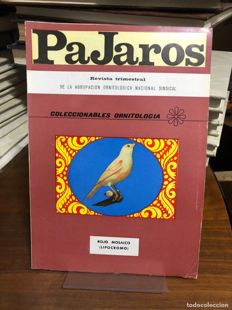 Libros: Revista P&aacute;jaros (Rojo Mosaico - Lipocromo) Agrupaci&oacute;n Ornitol&oacute;gica Nacional Sindical