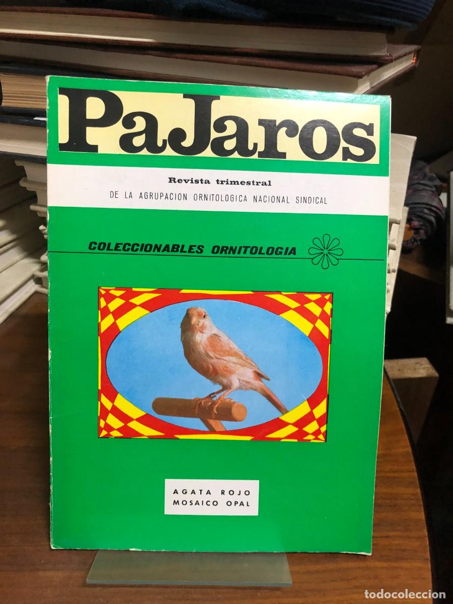 Libros: Revista P&aacute;jaros (Fondo verde - &Aacute;gata Rojo Mosaico Opal) Agrupaci&oacute;n Ornitol&oacute;gica Nacional Sindical