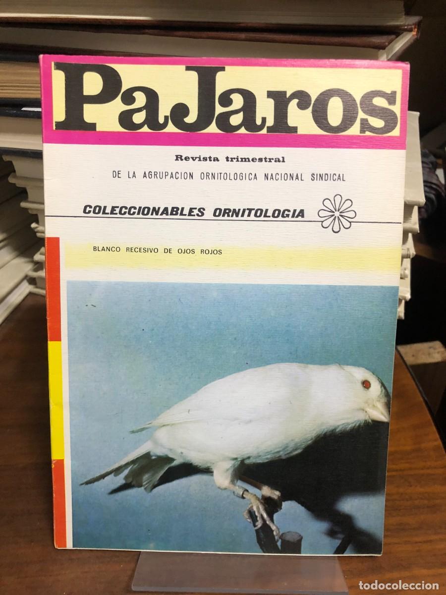 Libros: Revista P&aacute;jaros (Fondo blanco - Blanco Recesivo de Ojos Rojos) Agrupaci&oacute;n Ornitol&oacute;gica Nacional Sind