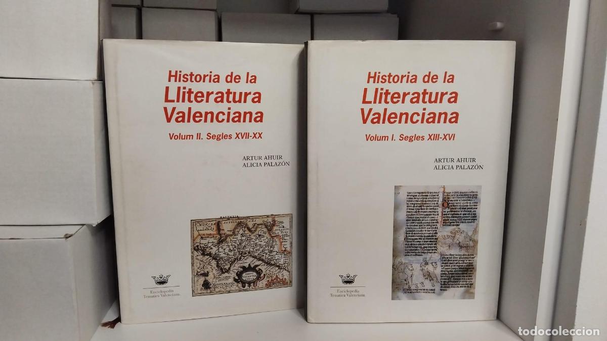 Libros: Gran historia de la lliteratura Valenciana. 2 tomos - Alicia Palaz&oacute;n Artur Ahuir i L&oacute;pez