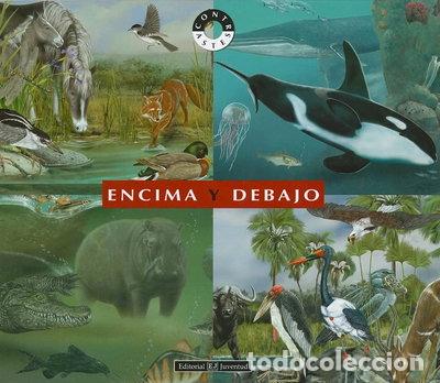books: Encima y debajo- 9788426136176