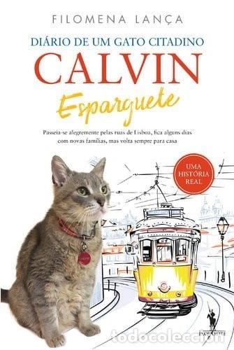 Livres: Calvin Esparguete: Di&aacute;rio de um gato citadino- 9789722065542