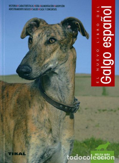 Libros: El galgo espa&ntilde;ol- 9788499284620