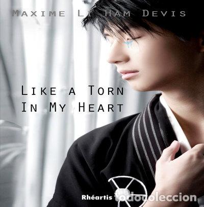 Libros: Like a torn in my heart- 9782714604842