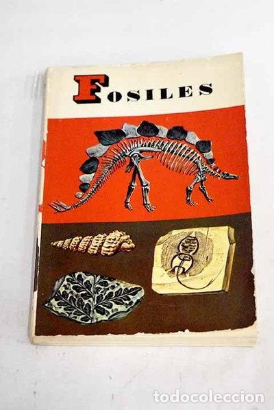 Libros: F&oacute;siles- 9788423101146