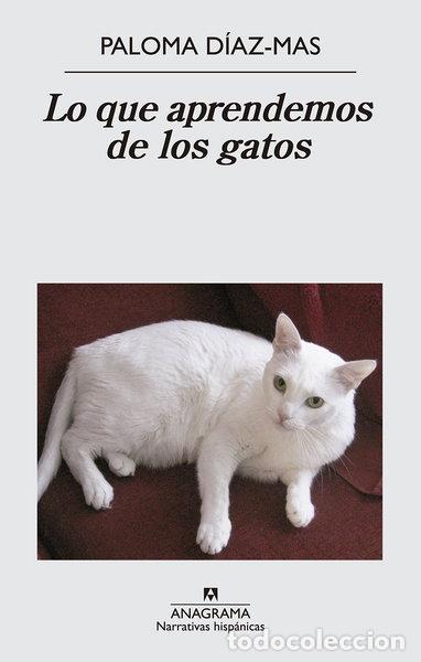 Libros: Lo que aprendemos de los gatos- 9788433997807