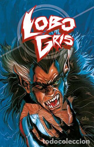 Libri di seconda mano: LOBO GRIS - COMICS