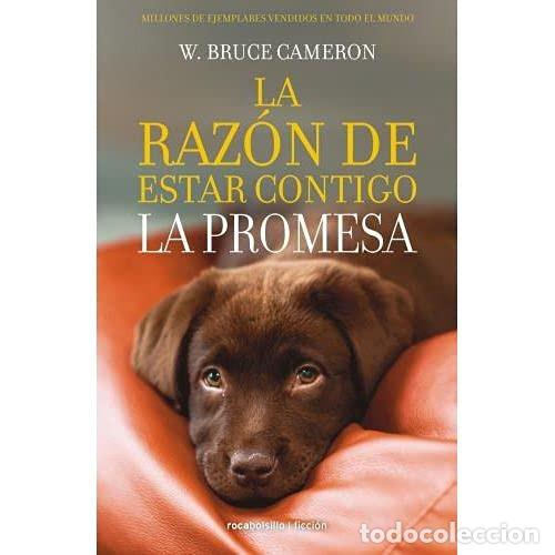 books: RAZON DE ESTAR CONTIGO 3. LA PROMESA - W. BRUCE CAMERON