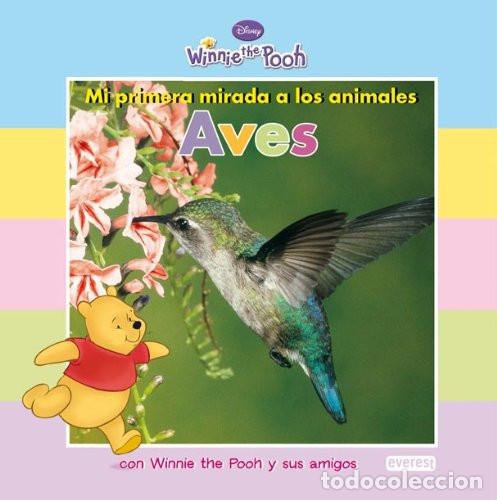 books: AVES - Walt Disney Company