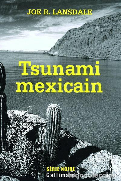 Libros: Tsunami mexicain- 9782070309108