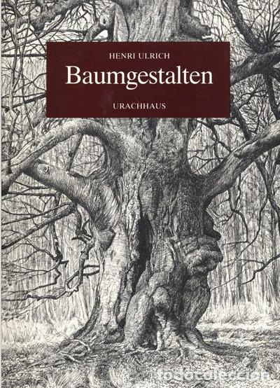 Libros: Baumgestalten. Begegnungen und Erlebnisse- 9783878384007