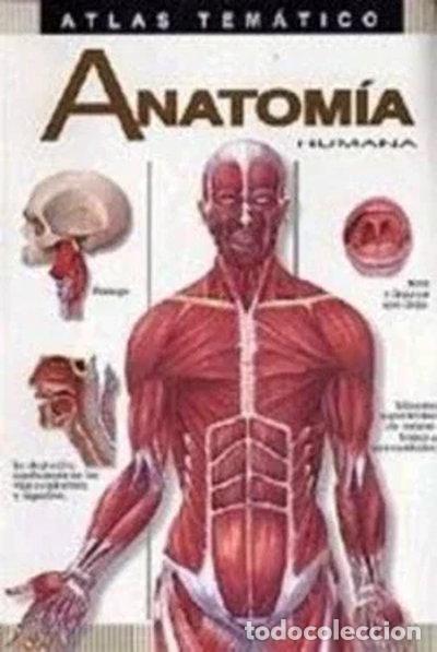 B&uuml;cher: Anatom&iacute;a humana- 9788482360737