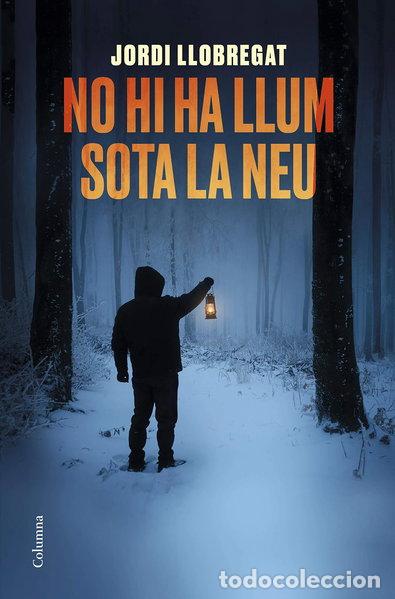 Libros: No hi ha llum sota la neu- 9788466425582