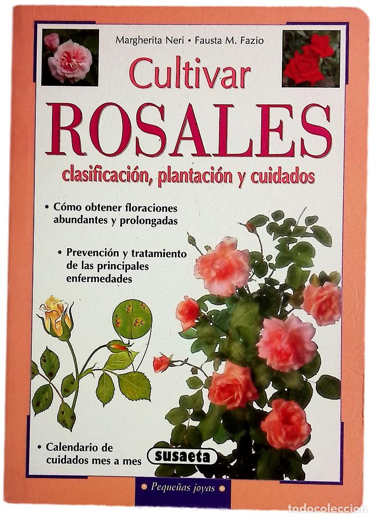 Libri di seconda mano: Cultivar rosales - Neri, Margherita; Fazio, Fausta M
