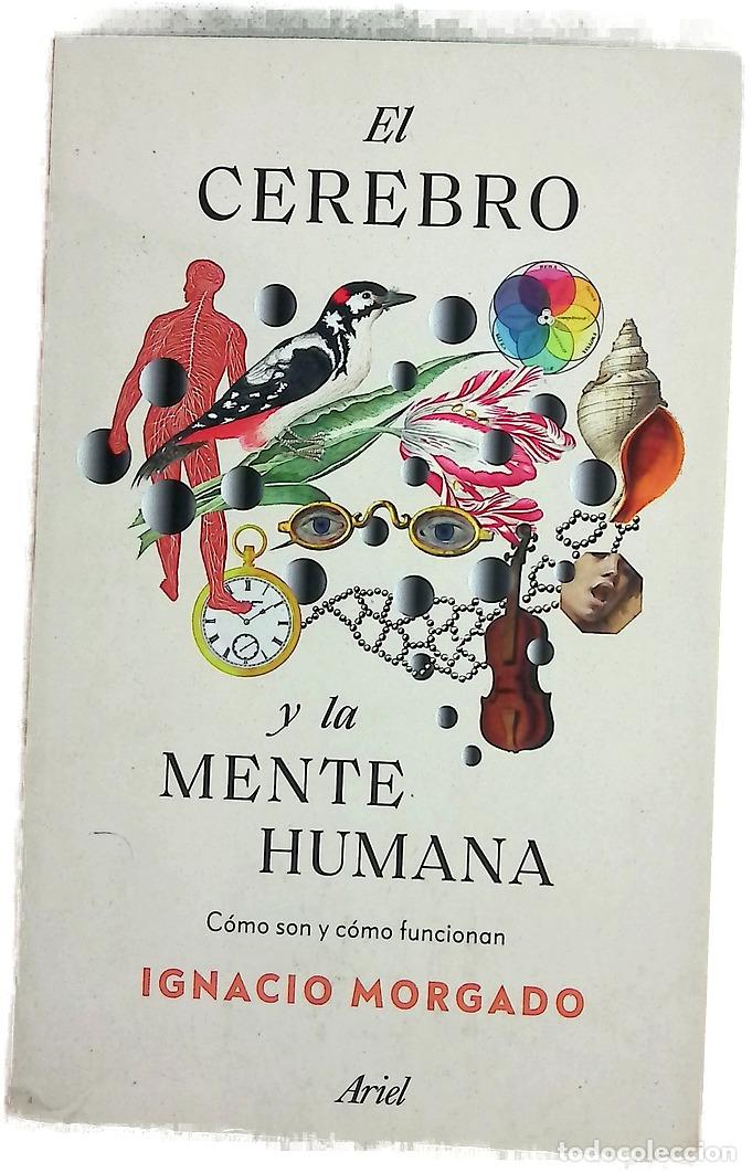 books: El cerebro y la mente humana : c&oacute;mo son y c&oacute;mo funcionan