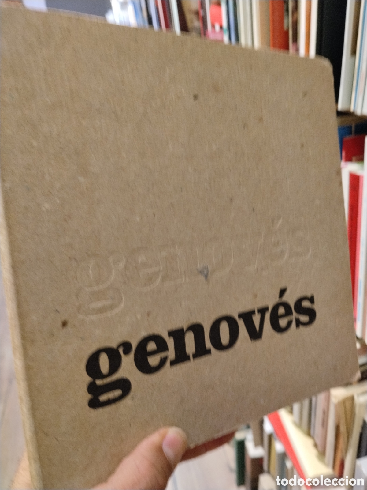 Libros: GENOVES   20 A&Ntilde;OS   DE  PINTURA    1962  - 1982 - GENOVES