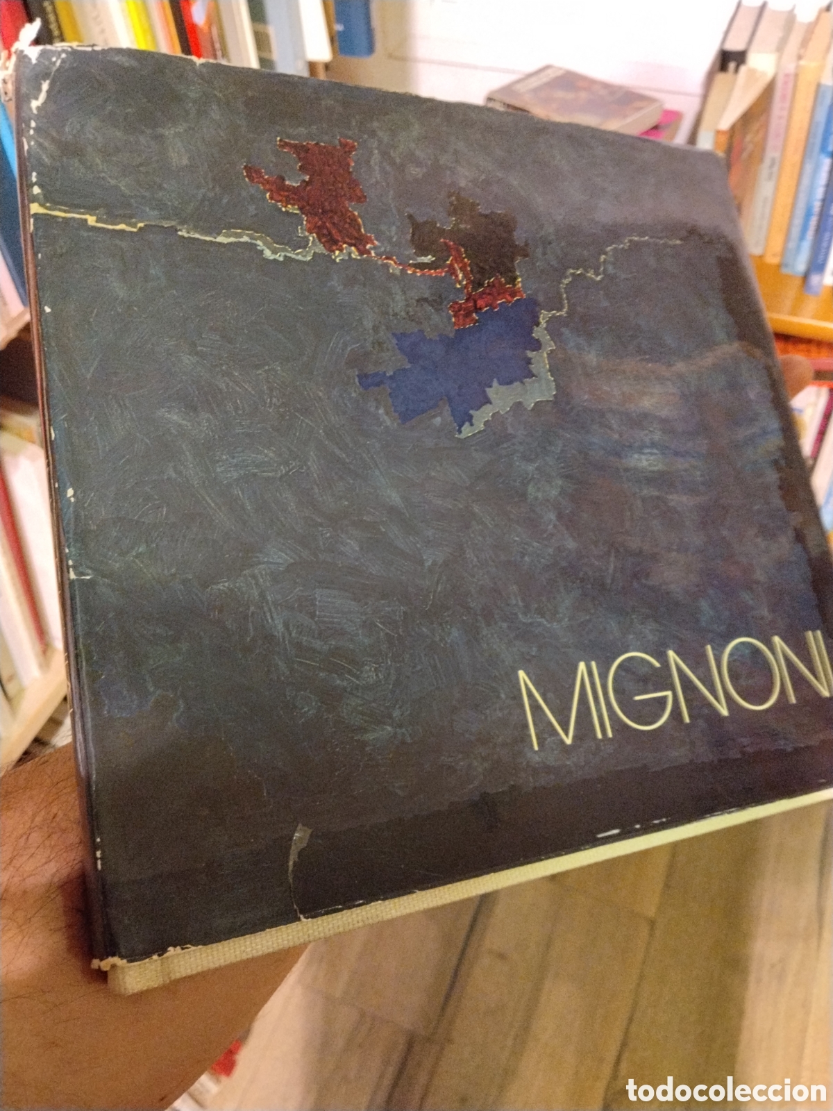 Libros: MIGNONI  COSMOLOGIAS  DE  LA MEMORIA  - FIORI , Pedro
