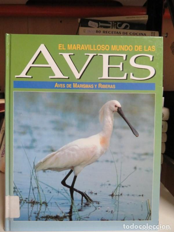 Libros: El maravilloso mundo de las aves: Aves de Marismas y Riberas - Galaxia de Libros