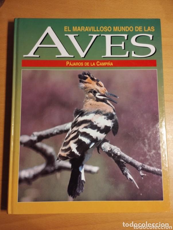 Libros: El maravilloso mundo de las aves: P&aacute;jaros de la campi&ntilde;a - Galaxia de Libros - 1976