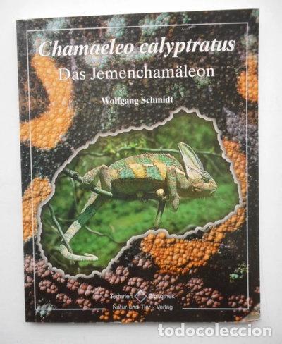 Libros: Chamaeleo calyptratus- 9783931587147
