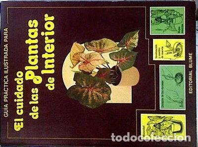 B&uuml;cher: Gu&iacute;a pr&aacute;ctica ilustrada para el cuidado de las plantas de interior- 9788470312786