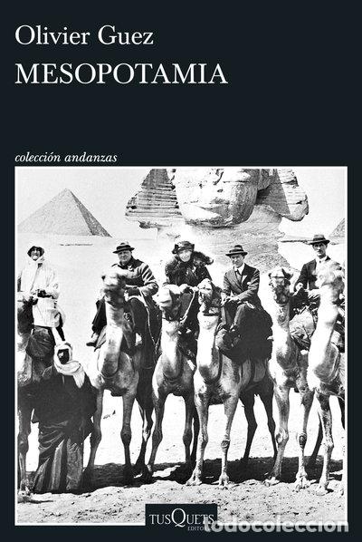 Libros: Mesopotamia- 9788411076722