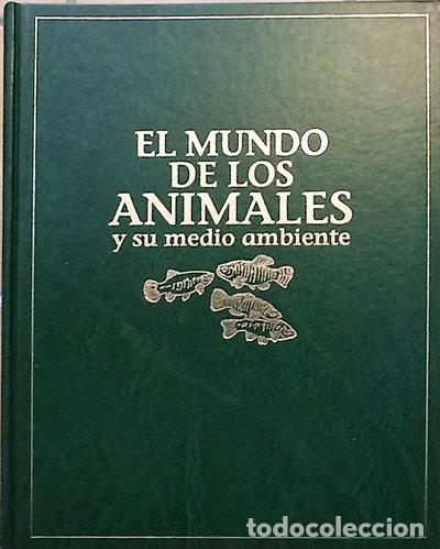 Libri di seconda mano: El mundo de los animales y su medio ambiente- 9788447301508