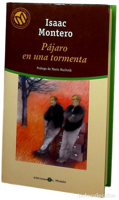 Libros: P&aacute;jaro en una tormenta - Montero, Isaac