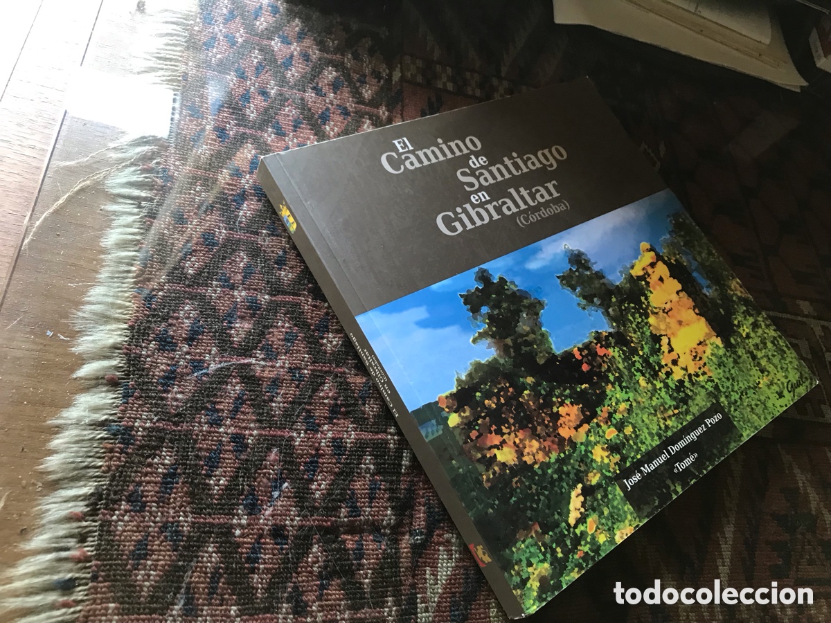 Libros: Camino de Santiago en Gibraltar (C&oacute;rdoba). Jose Manuel Dom&iacute;nguez Pozo. &ldquo;Tom&eacute; &ldquo;