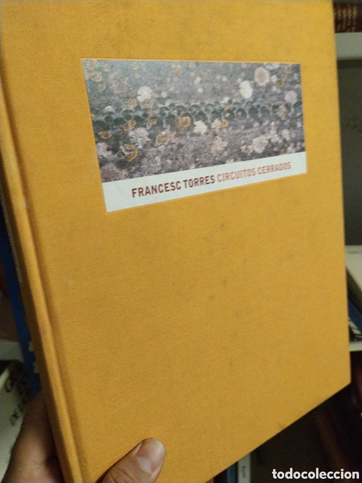 Libros: CIRCUITOS  CERRADOS - FRANCESC  TORRES