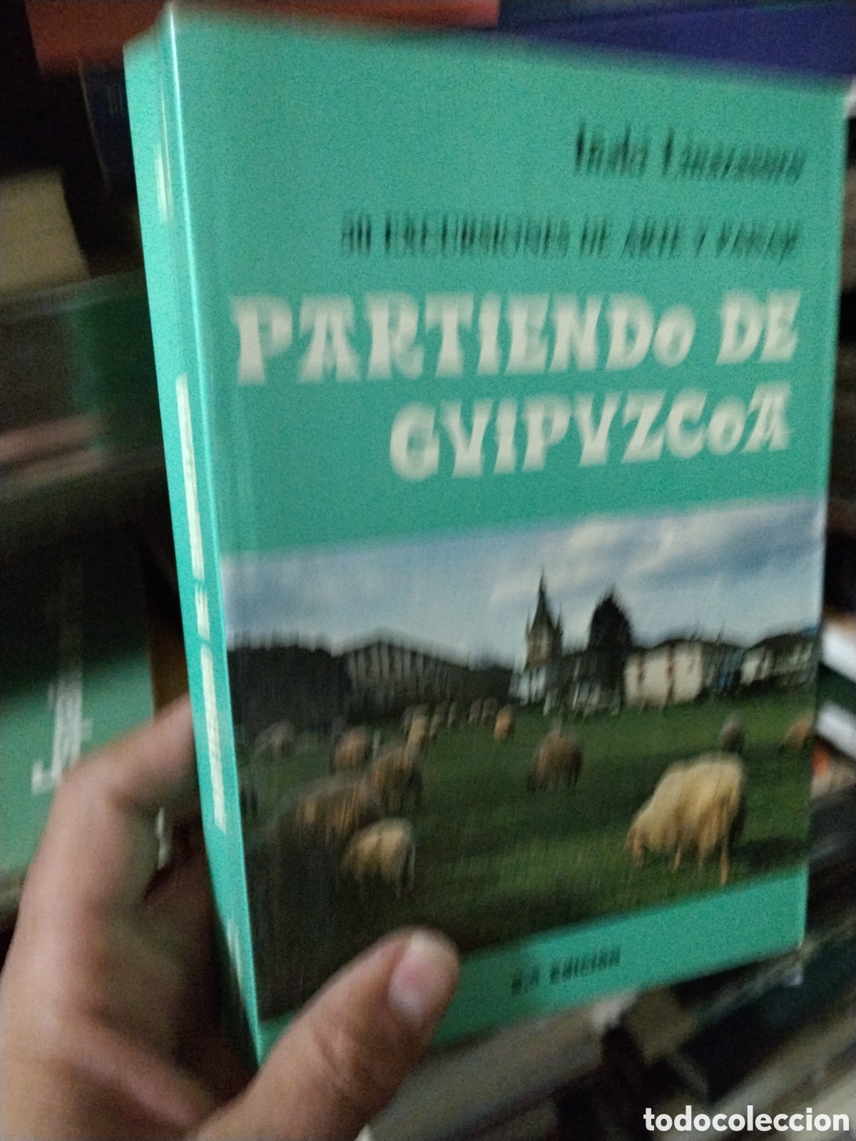 Libros: 50 EXCUR SIONES DE ARTE Y PAISAJE PARTIENDO DE GUIPUZCOA - LINAZASORO, I&ntilde;aki