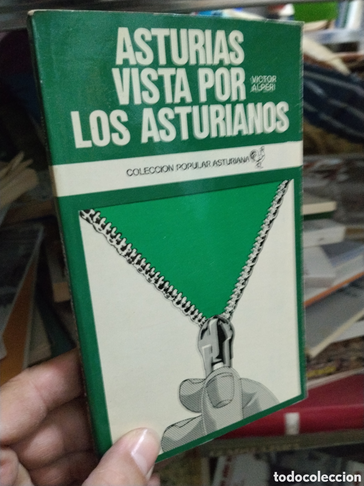 Libros: ASTURIAS VISTA POR LOS ASTURIANOS - VICTOR ALPERI