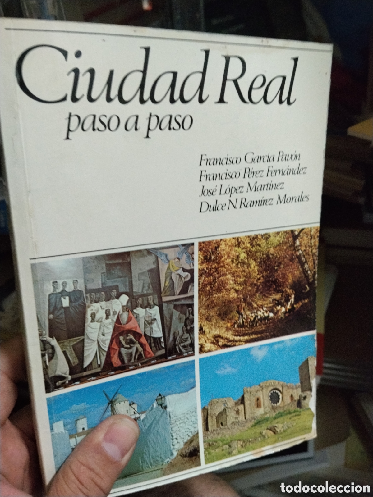 Libros: CIUDAD REAL PASO A PASO - VV.AA