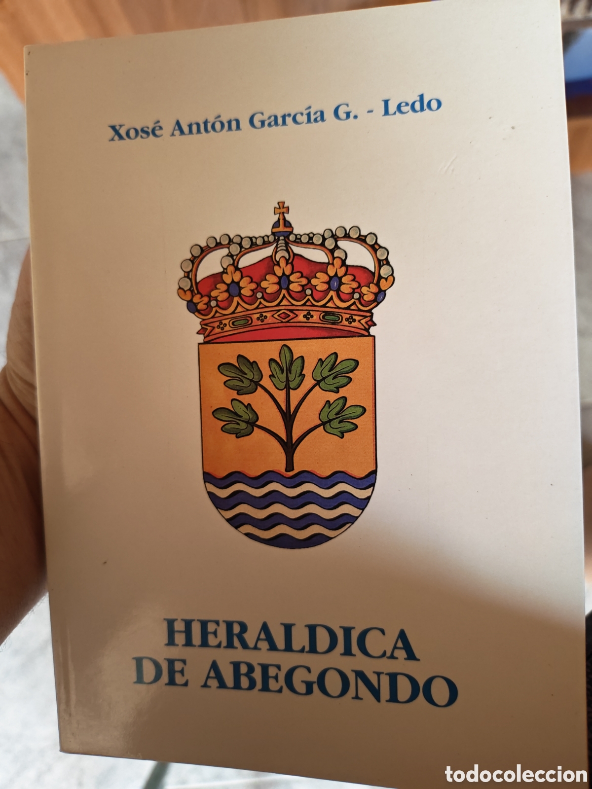 Libros: Her&aacute;ldica de Abegondo