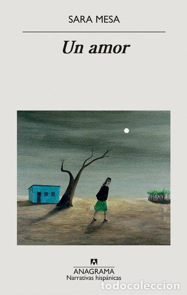 Libros: Un amor- 9788433999030