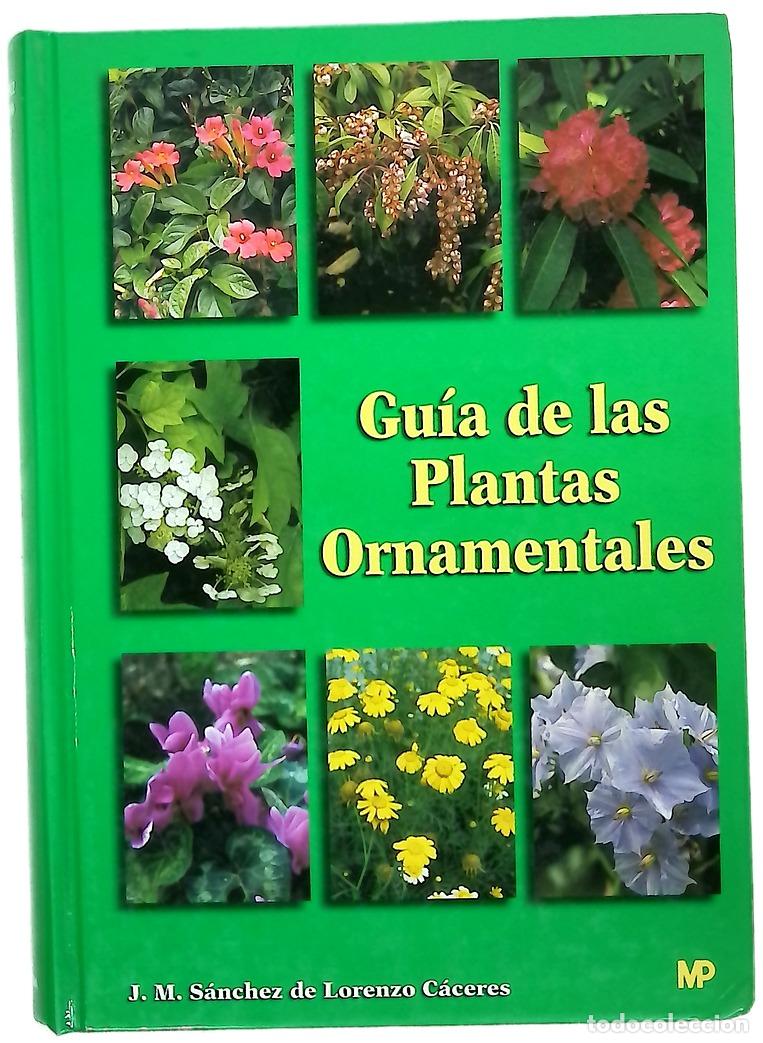 Libros: Gu&iacute;a de las plantas ornamentales