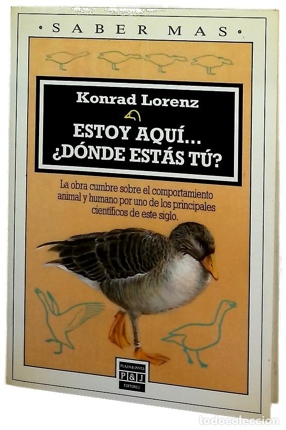 books: Estoy aqu&iacute; &shy; &iquest;D&oacute;nde est&aacute;s t&uacute;?