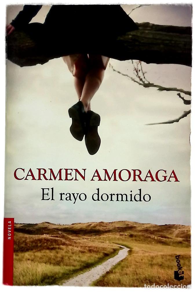 books: El rayo dormido - Amoraga, Carmen